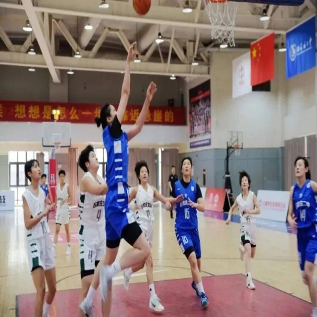 乒乓球冠军竞争格局的全景解读与数据分析